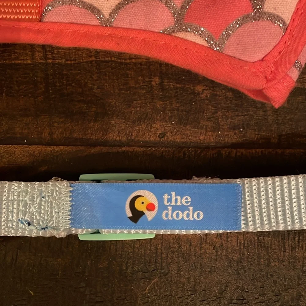 Small dog fish collar, The Dodo collar and hedgehog holiday toy.